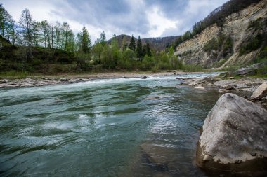 Suyu akan güzel dağ nehri