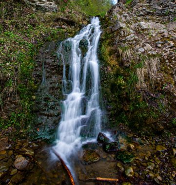Suyu akan güzel dağ nehri