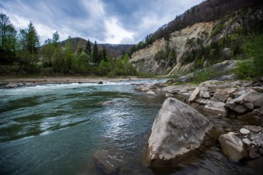 Suyu akan güzel dağ nehri