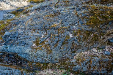 Nehirden güzel bir şelale