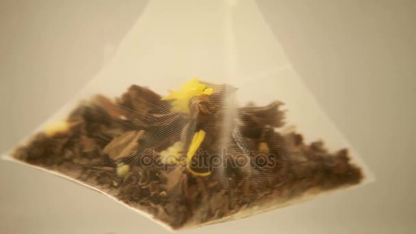 Пакет чая "Пирамид" вращается в воде — стоковое видео