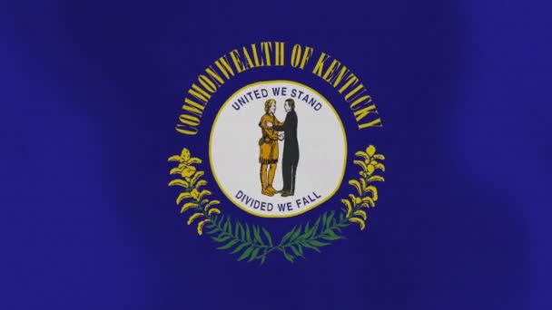 Loopbare: Vlag van Kentucky — Stockvideo