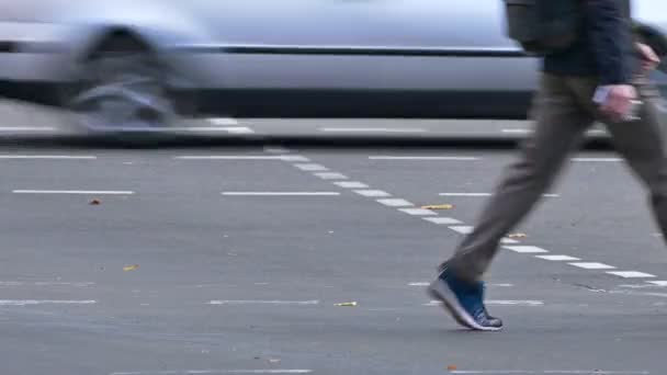 Stroom van voetgangers kruising Street op Crosswalk ten opzichte van elkaar op de — Stockvideo