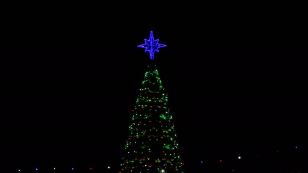 圣诞节装饰 / 圣诞树 / 新年前夜 — 图库视频影像