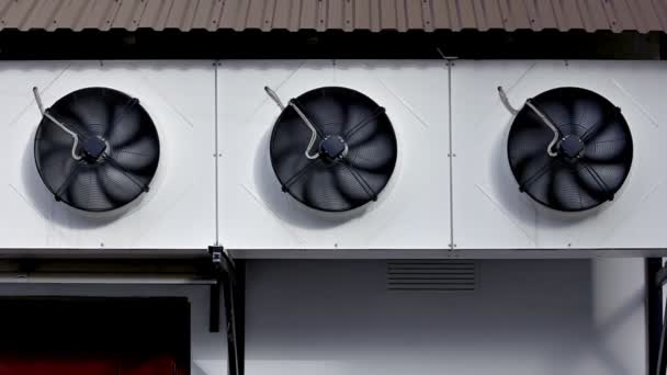 Drie ventilatoren — Stockvideo