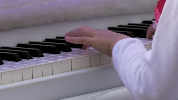 Παίκτης πιάνο / πιάνο πληκτρολόγιο / πιάνο χέρια — Αρχείο Βίντεο