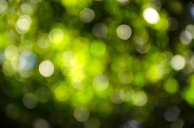 Cavador de tierra masivo