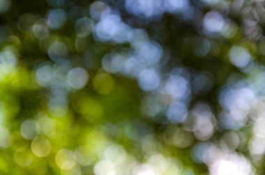 Cavador de tierra masivo