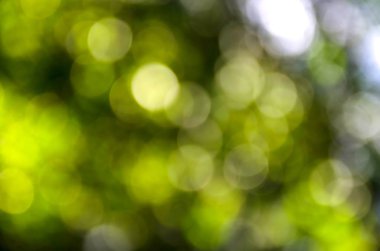 Cavador de tierra masivo