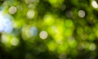 Cavador de tierra masivo