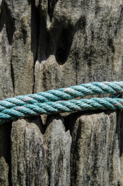 Çatlak ve çürüme ile eski ağaç kütüğü