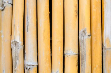  Bambu duvar dokusu arkaplanı