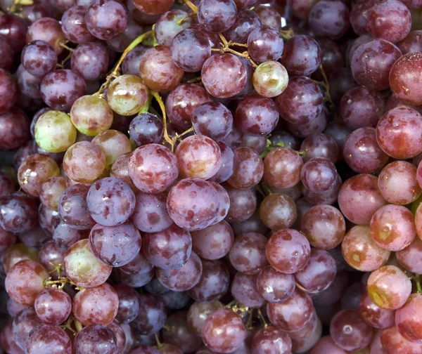 Ingredient red grape bunch in the market — Stock Photo, Image