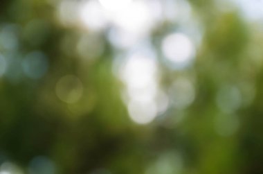 Yeşil bokeh doğal güzel arka plan bulanıklık