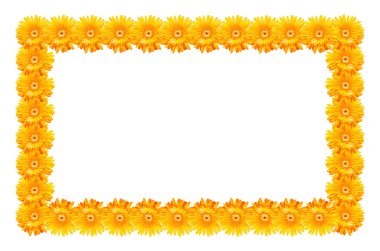  çerçeve beyaz arka plan üzerinde izole gerbera çiçek yaptı