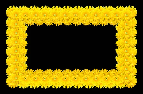 Marco hecho de flor de gerberas aislada sobre fondo negro —  Fotos de Stock