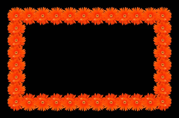 Marco hecho de flor de gerberas aislada sobre fondo negro —  Fotos de Stock