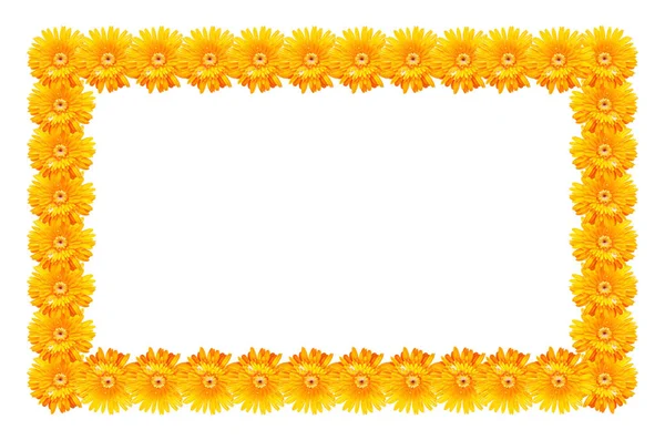Stomme av gerbera blomma isolerad på vit bakgrund — Stockfoto