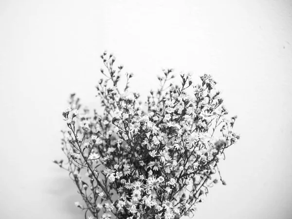 Красивый винтажный цветок Лицензионные Стоковые Изображения