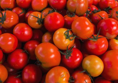 Grup içinde belgili tanımlık çarşı, Tayland taze domates