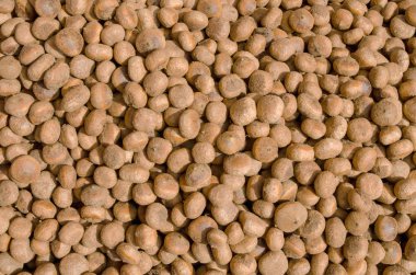 Tayland yerli çiğ kestane. bir kestane. yerel pazarda Tay kestane yığını.