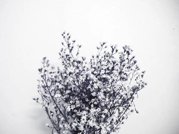 Vacker vintage blomma — Stockfoto