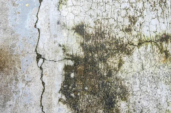 Sujo grunge cimento parede textura e fundo — Fotografia de Stock
