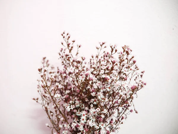 Красивый винтажный цветок Лицензионные Стоковые Фото