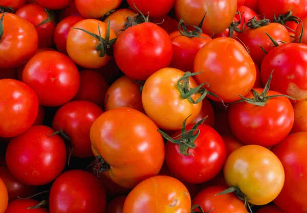 Grupo de tomates frescos no mercado, Tailândia Imagem De Stock