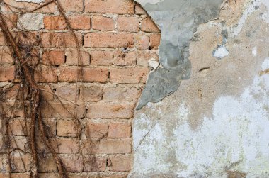 Kirli çimento duvar doku ve arka plan