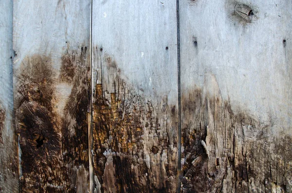 Fissures Bois Brûlées Texture Mur Fond — Photo