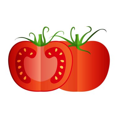 Domatesin tüm meyvesi ve beyaz üzerine izole edilmiş iki domates vektörü düz malzeme tasarımı.