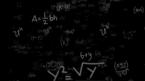 Cámara vuela a través de fórmulas matemáticas blancas sobre fondo negro. Cálculos matemáticos funciones ecuaciones. Matriz compuesta de fórmulas. Concepto abstracto de proceso cognitivo. Lazo inconsútil generado por ordenador — Vídeo de stock