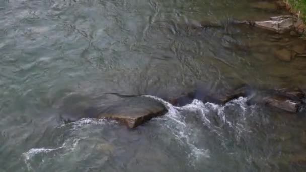 Seuil de cascade caillouteux rivière de montagne ruisseaux orageux d'eau turquoise — Video