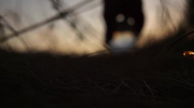 Erkek bir el, çimenlerin üzerinde cam bir top yuvarlıyor. Dramatik sinematik çekim. Siluet. Gün batımı. Kader, gelecek, geçmiş, şimdi. Seyahat.