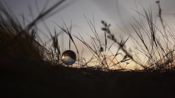 Boule de verre dans les rayons du coucher du soleil dans la silhouette de l'herbe agitant dramatiquement par le vent. reflet du monde entier. style de vie tourné. publicité cinéma tourné. Devenir, futur, passé, présent — Video