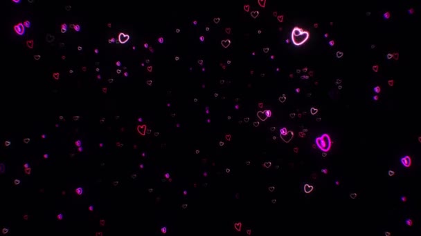 Corazones brillantes de neón rosa sobre fondo negro. Sobreposición de corazones giratorios voladores. San Valentín. Animación en bucle 3d. 4K, Símbolo del amor — Vídeos de Stock