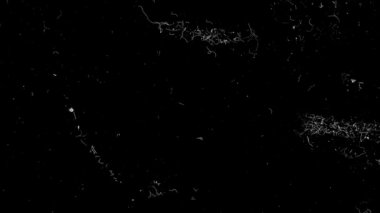 Hasarlı 35 mm 'lik görüntüler. Boş, eski bir vintage hasarlı 8 mm 'lik film kasetinin animasyonu. Çamur kaplaması. Eski Film Efekti. Toz, çizikler ve gürültü..