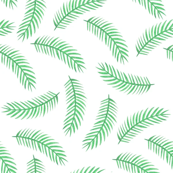 Aquarela tropical palma folhas sem costura padrão . — Fotografia de Stock