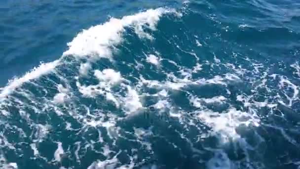 Cruise ship spår på blå havet. — Stockvideo