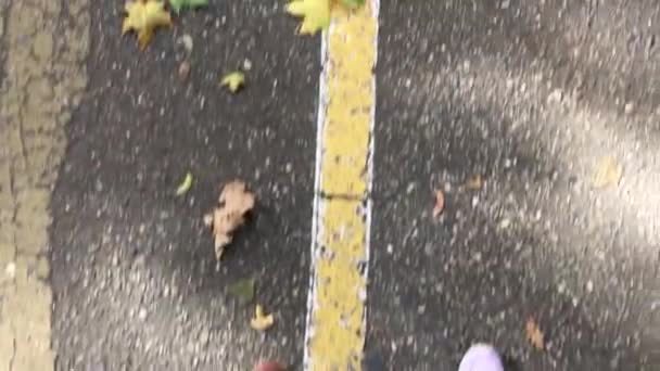 Zwei Beinpaare laufen am Herbsttag auf Asphalt. — Stockvideo