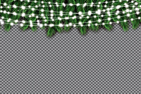 Branche de sapin avec néons sur fond transparent . — Image vectorielle