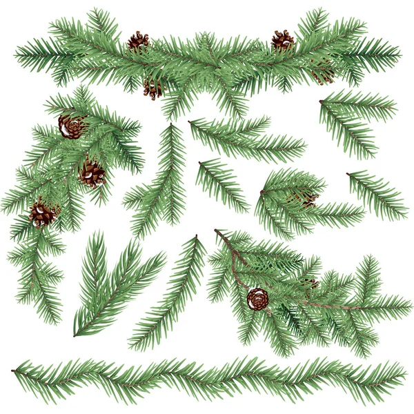 Realista Fir Branches szett, elszigetelve White-tól. Karácsonyfa. — Stock Vector