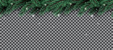 Köknar dalı Neon ışıkları şeffaf arka plan ile. 