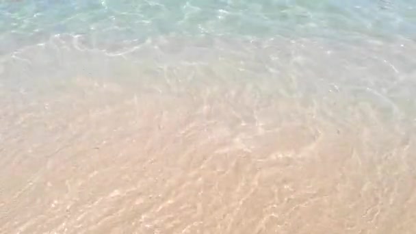 夏の日差しのビーチでの海の波 — ストック動画