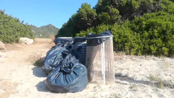 Young Woman Swimsuit Throws Two Plastic Cups Trash — Stock Video