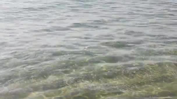サルデーニャの地中海の水面に浮かぶビニール袋などのゴミ — ストック動画