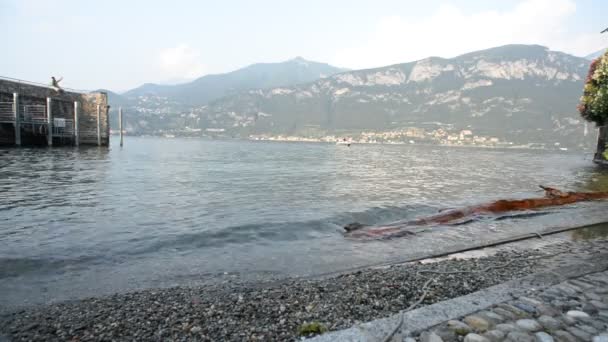 Jezioro Como Włoszech Widok Bellagio — Wideo stockowe