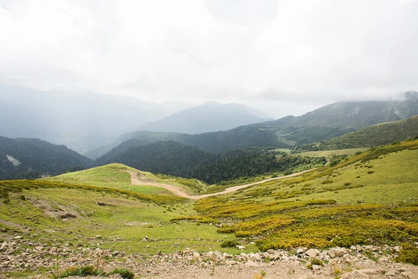 Montañas con prados alpinos y bosque verde en Sochi. Krasnay. —  Fotos de Stock