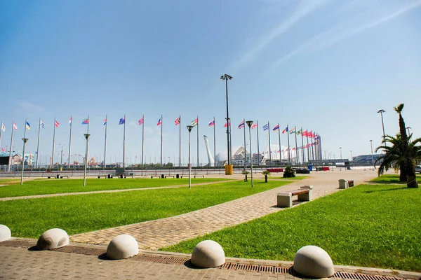 Sochi Olimpiyat Parkı 'nda bayraklar.